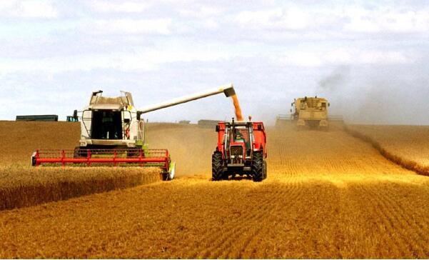 秋糧連續(xù)第六年糧食產(chǎn)量穩(wěn)定在6億噸，有信心應對國內(nèi)外各種經(jīng)濟風險?