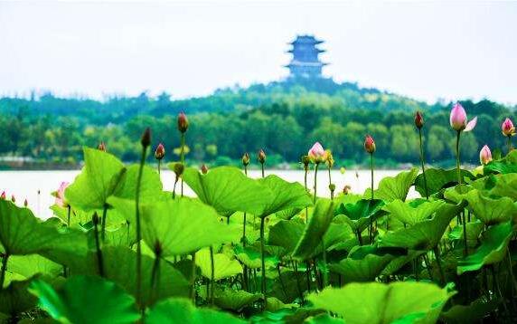 中國文旅產(chǎn)業(yè)的市場潛力龐大，未來市場空間有望達到2萬億元