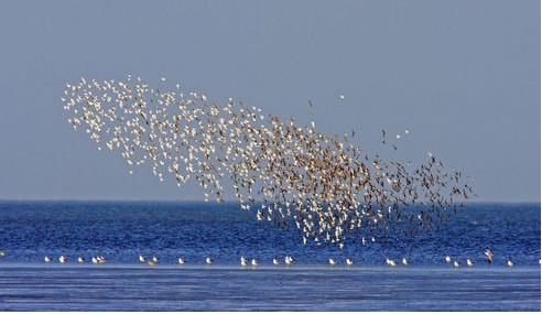 三部委：到2020年，渤海近岸海域水質(zhì)優(yōu)良比例達(dá)到73%左右?