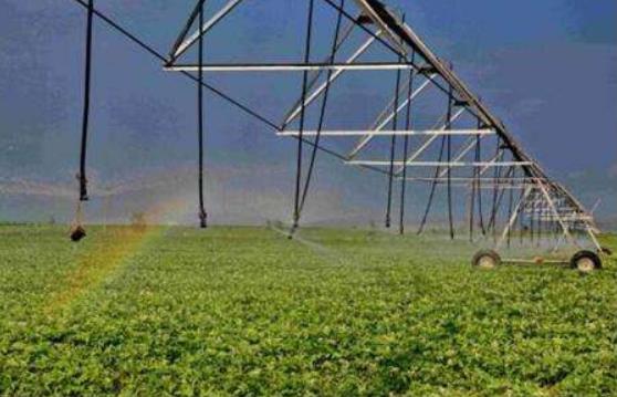 中共中央辦公廳、國務(wù)院辦公廳印發(fā)《關(guān)于促進(jìn)小農(nóng)戶和現(xiàn)代農(nóng)業(yè)發(fā)展有機銜接的意見》