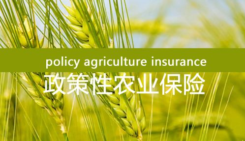 2022年農(nóng)業(yè)保險保費(fèi)收入有望達(dá)840億元