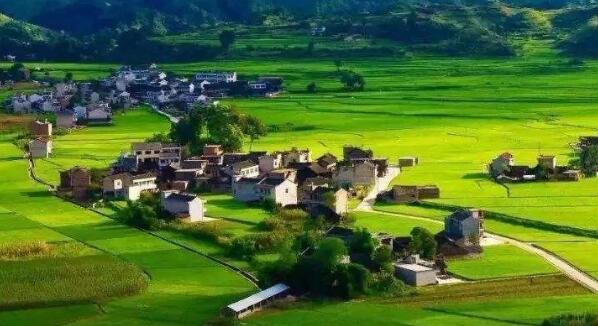 去年全國鄉(xiāng)村旅游總?cè)舜螢?0.9億人次，同比增加9.7%