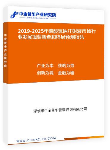 2019-2025年碳酸氫鈉注射液市場行業(yè)發(fā)展現(xiàn)狀調查和格局預測報告