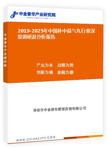 2019-2025年中國補中益氣丸行業(yè)深度調研及分析報告