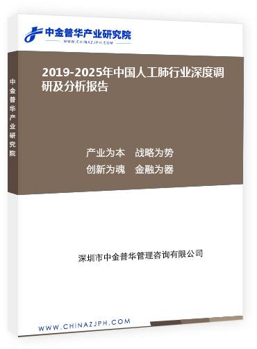 2019-2025年中國人工肺行業(yè)深度調(diào)研及分析報告