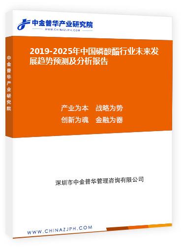 2019-2025年中國磷酸酯行業(yè)未來發(fā)展趨勢(shì)預(yù)測(cè)及分析報(bào)告