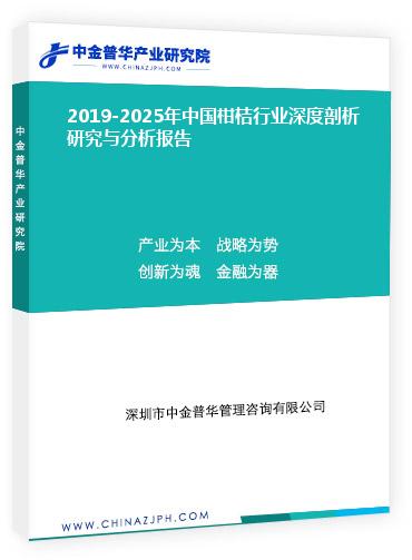 2019-2025年中國(guó)柑桔行業(yè)深度剖析研究與分析報(bào)告