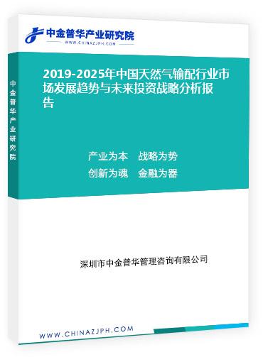 2019-2025年中國天然氣輸配行業(yè)市場發(fā)展趨勢與未來投資戰(zhàn)略分析報(bào)告