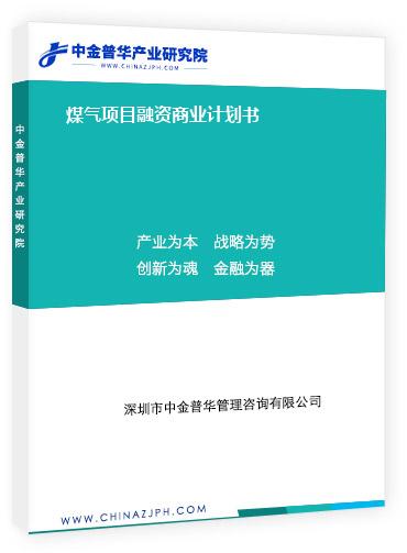 煤氣項目融資商業(yè)計劃書